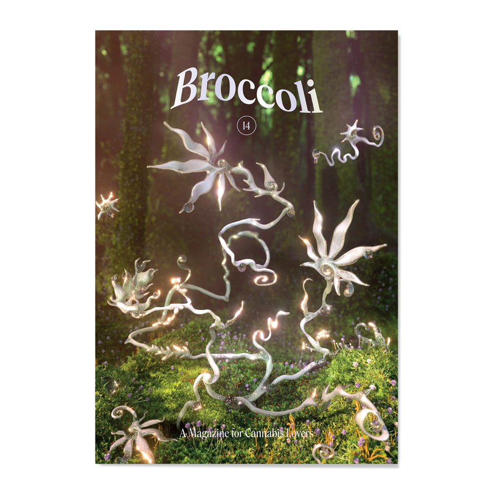 Broccoli Magazine - Issue 14
