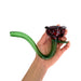 Red Rose